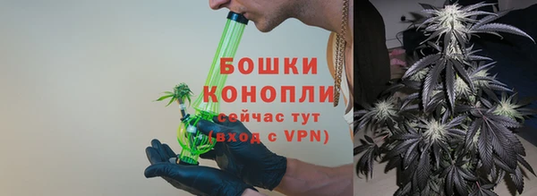 PSILOCYBIN Абаза