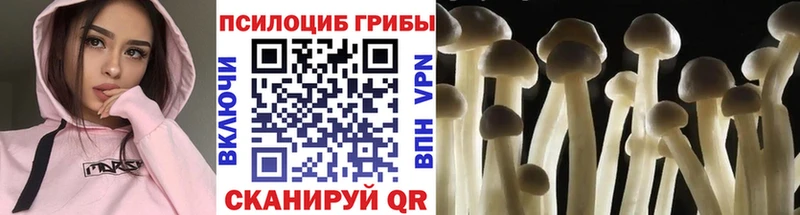 Галлюциногенные грибы мухоморы Цимлянск